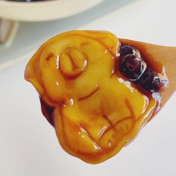 Brown Sugar Pearl Mochi (Capybara Shape!) (2)