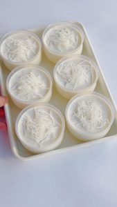 Coconut Milk Pudding (Panna Cotta Style) (2)