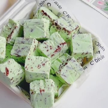 Mint Dark Chocolate Ice Cream Bites (3)