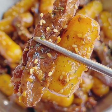 Pan Fried Rice Cakes with Steak (2)