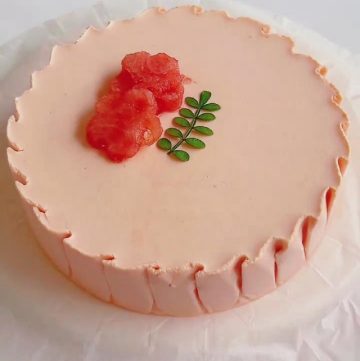 Watermelon Pudding (2)