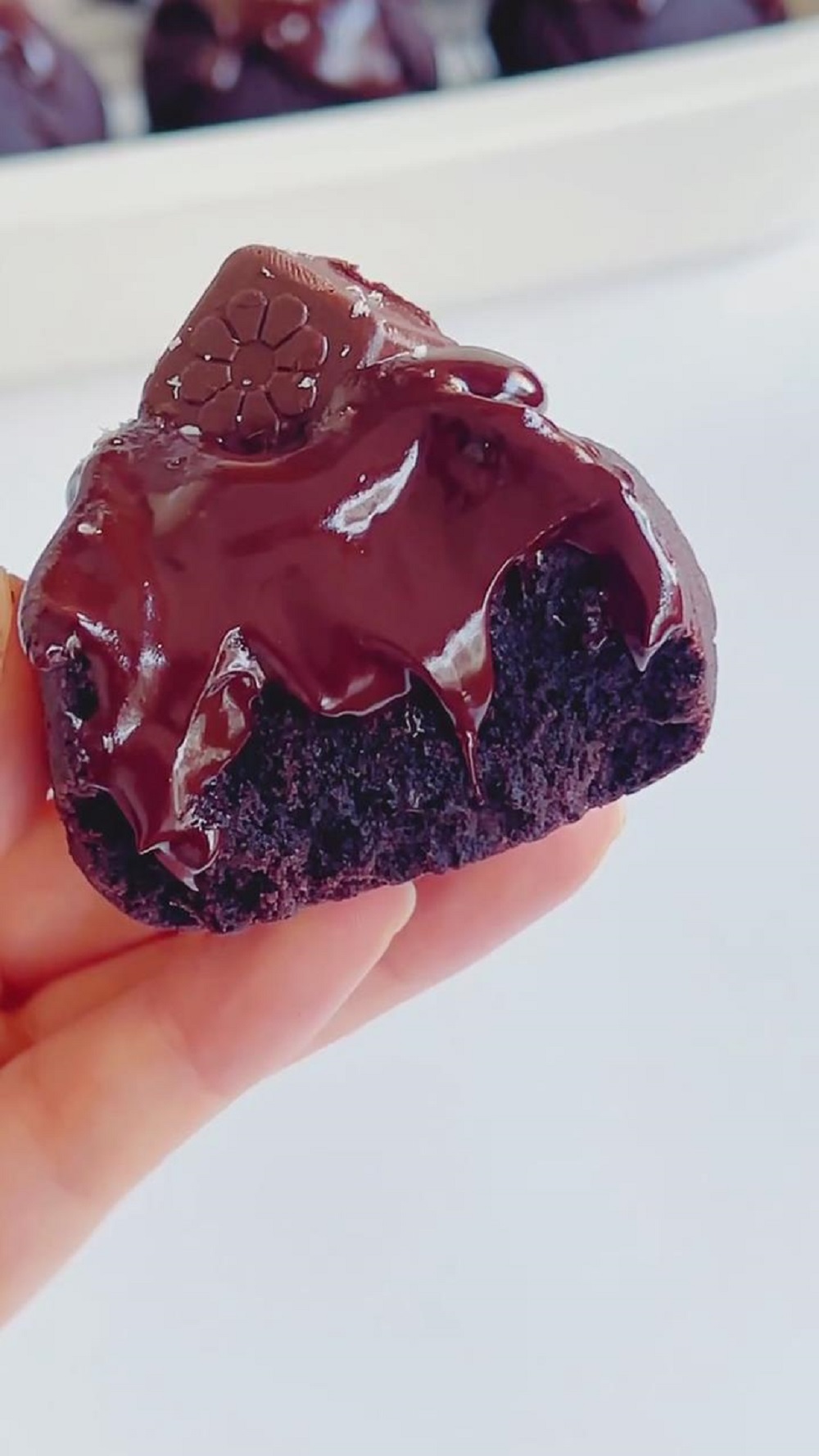 Chocolate Ganache Cookies (1)