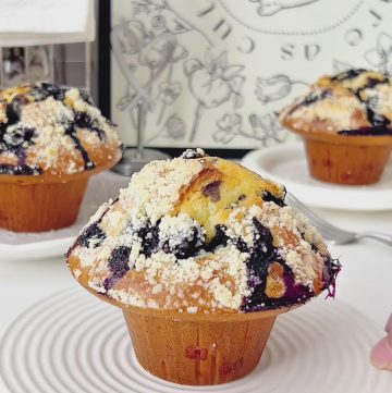 Blueberry Muffin (3)
