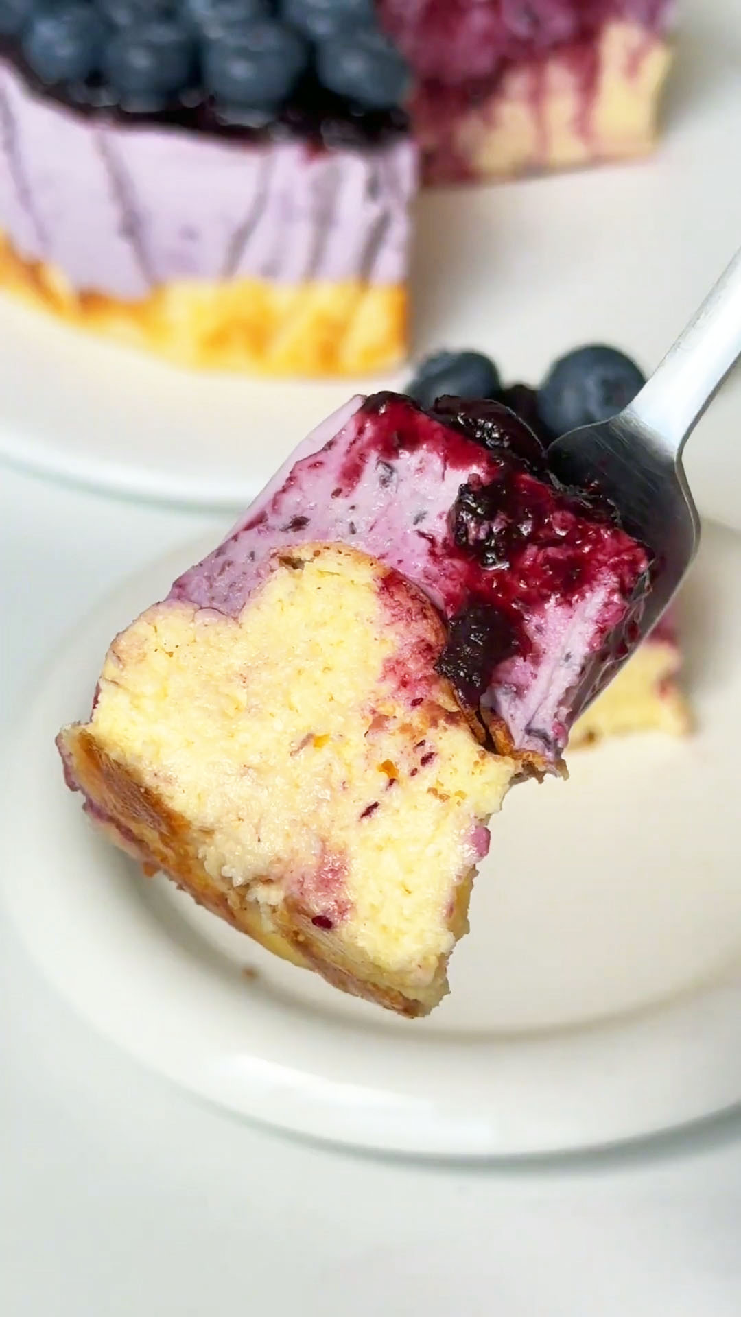 Blueberry Basque Cheesecake (1)