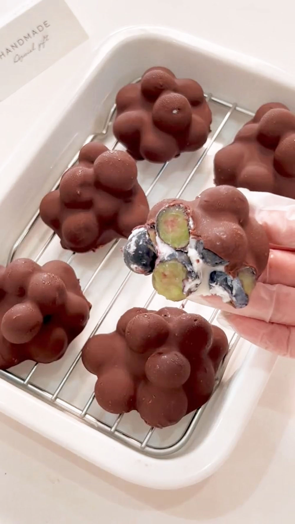 Chocolate Covered Blueberries Yogurt Clusters (1)