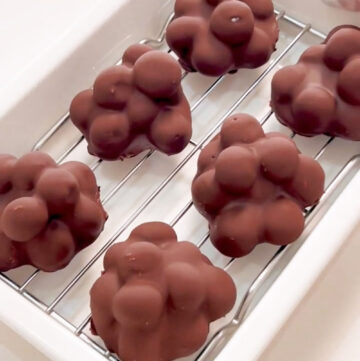 Chocolate Covered Blueberries Yogurt Clusters (2)