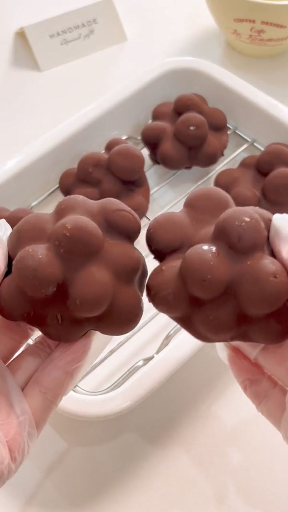 Chocolate Covered Blueberries Yogurt Clusters (5)