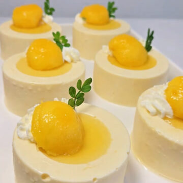 Mango Mousse (1)