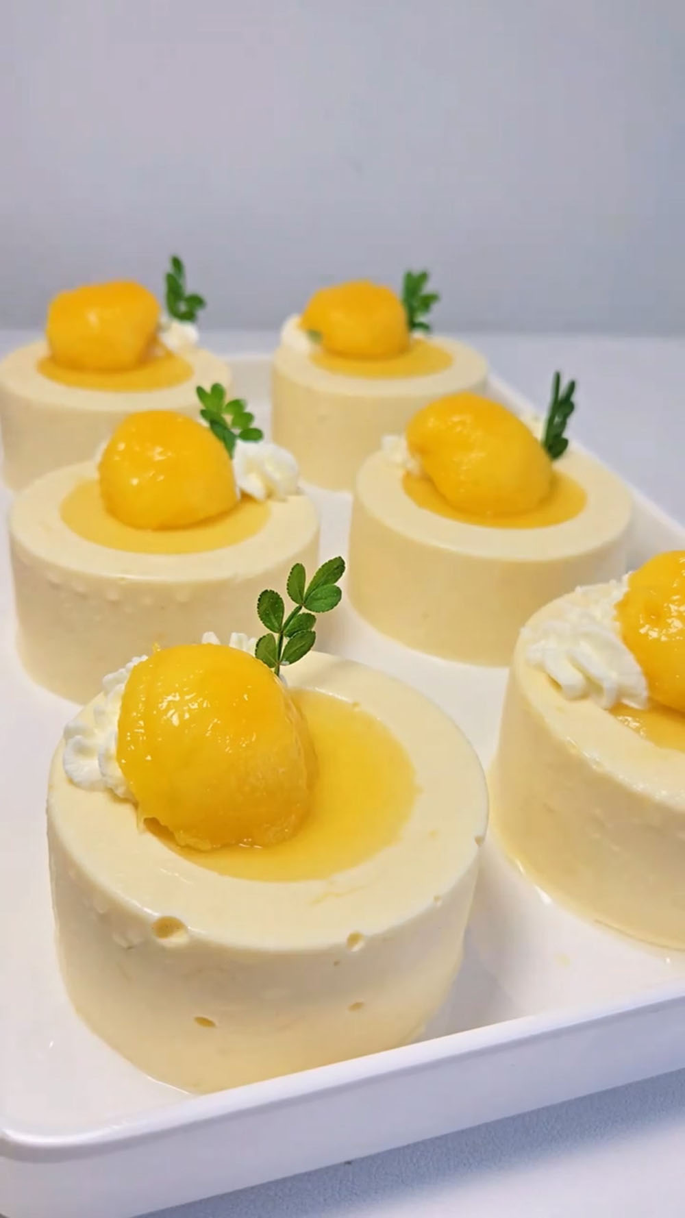 Mango Mousse (1)