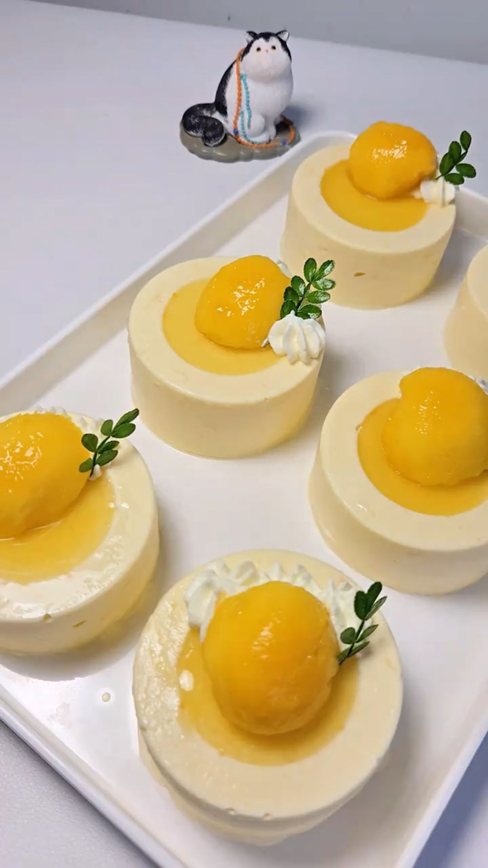 Mango Mousse (2)