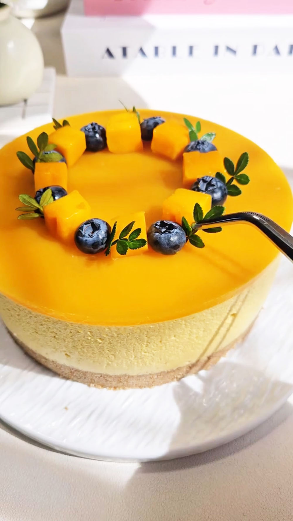 Mango Mousse Cake (4)