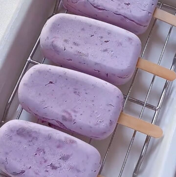 Blueberry Popsicles (1)