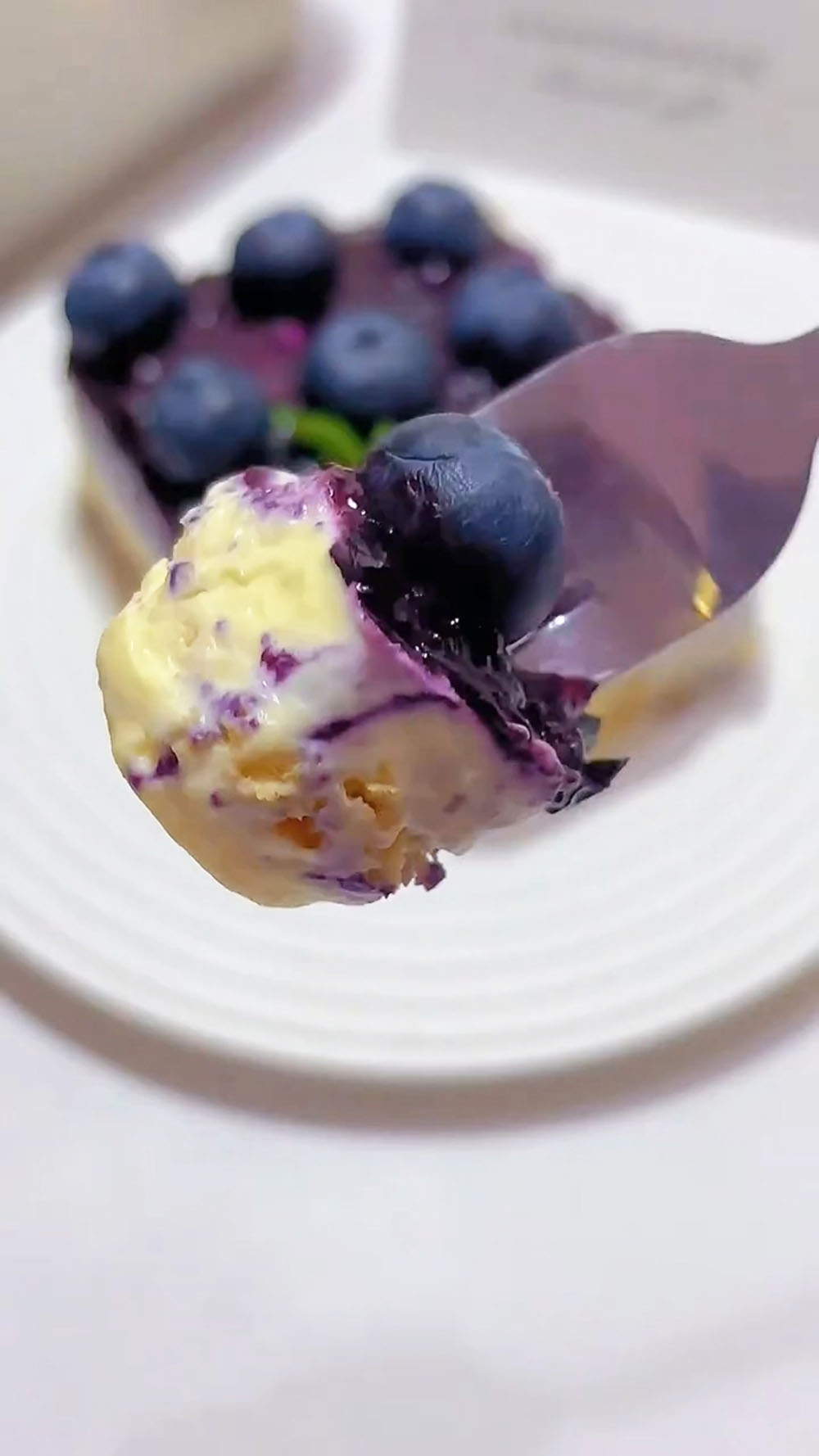 Blueberry Tiramisu (3)