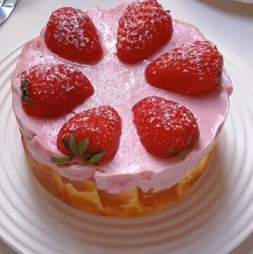 Mini Basque Cheesecake (2)